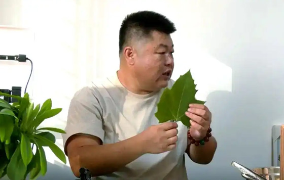 探索何泊春夫妇的叶雕技艺