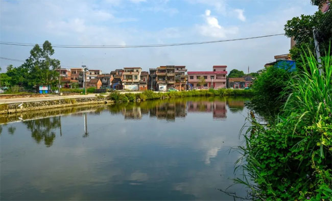 肇庆长湖村何氏