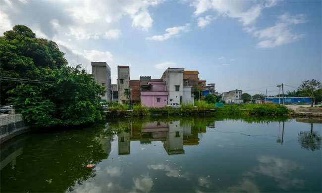 肇庆长湖村何氏