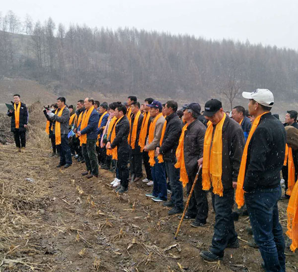 南加禾何氏家族