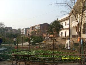 赤湖汪家嘴何氏庄